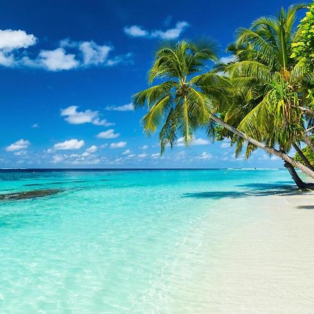 Equa Reef Maldives Hotel Addu City Екстериор снимка