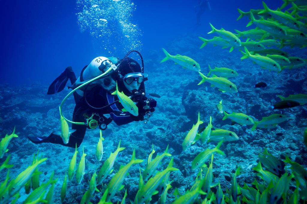 Equa Reef Maldives Hotel Addu City Екстериор снимка
