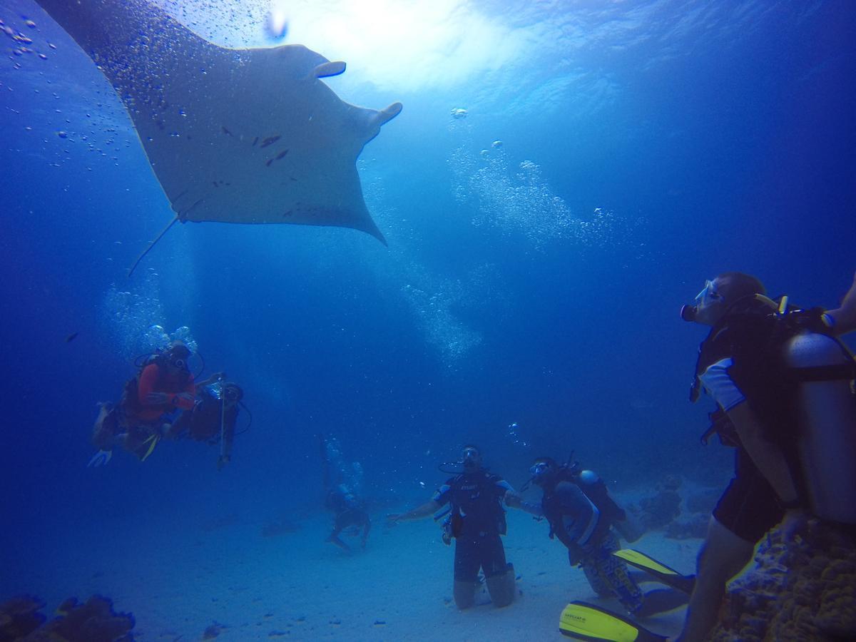 Equa Reef Maldives Hotel Addu City Екстериор снимка