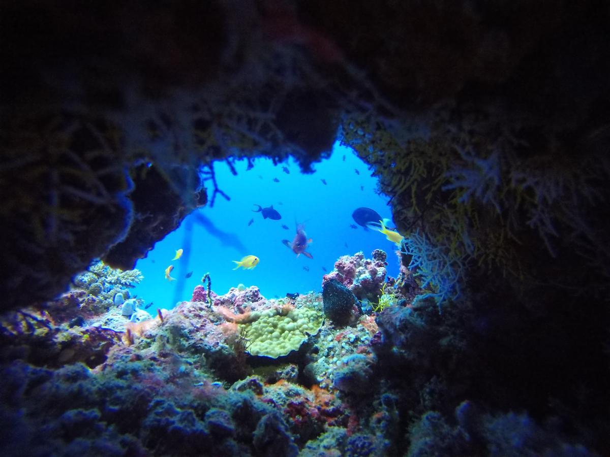Equa Reef Maldives Hotel Addu City Екстериор снимка