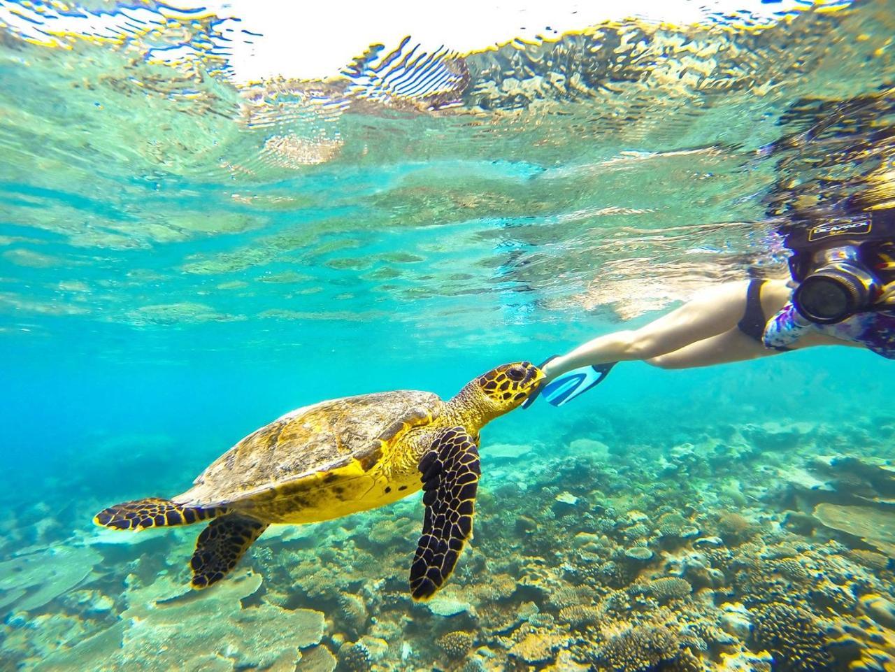 Equa Reef Maldives Hotel Addu City Екстериор снимка