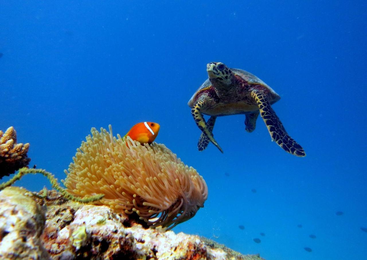 Equa Reef Maldives Hotel Addu City Екстериор снимка