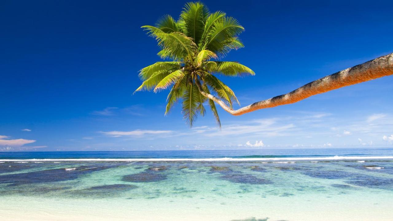 Equa Reef Maldives Hotel Addu City Екстериор снимка