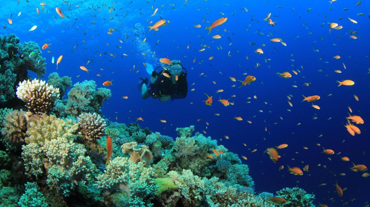 Equa Reef Maldives Hotel Addu City Екстериор снимка