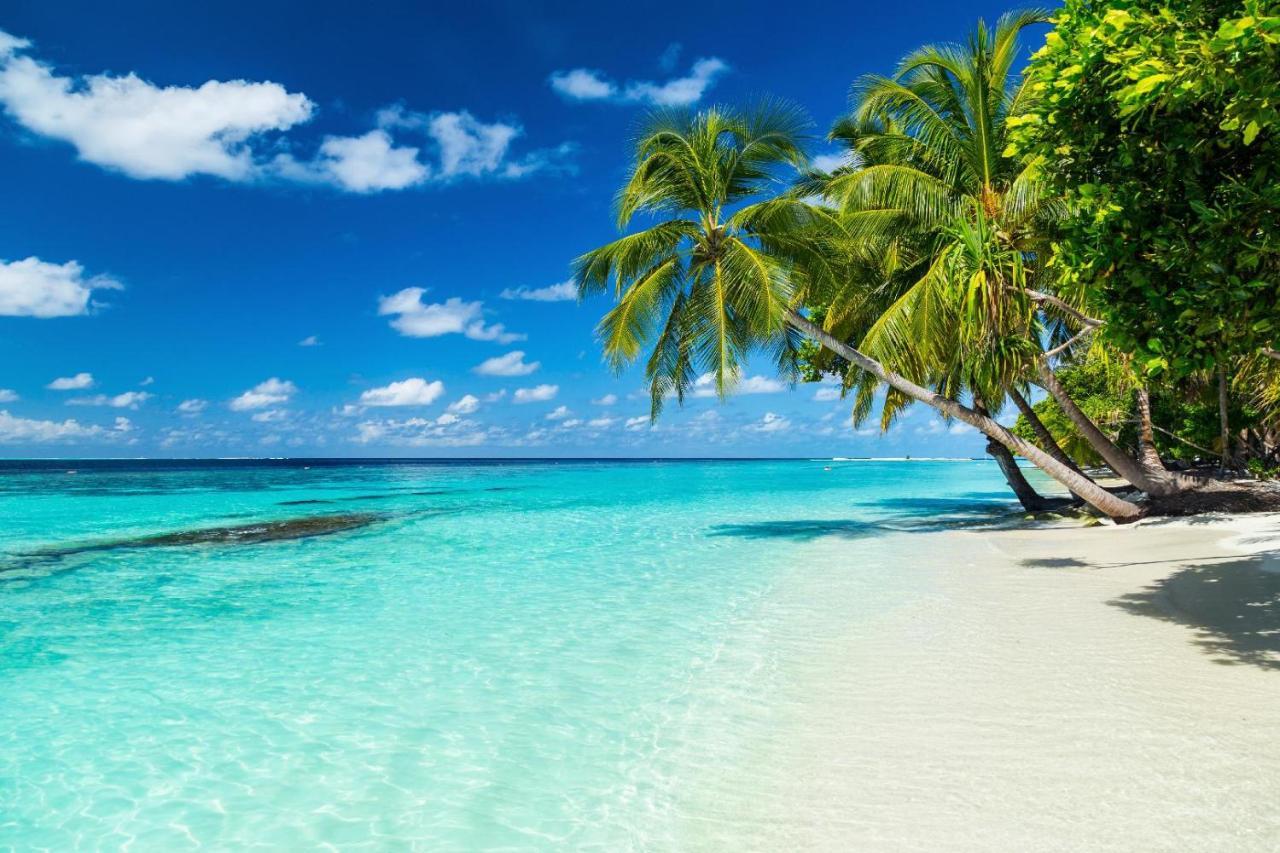 Equa Reef Maldives Hotel Addu City Екстериор снимка